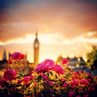 /album/londres/tumblr-mw5suuzama1rhsuwdo1-500-jpg/
